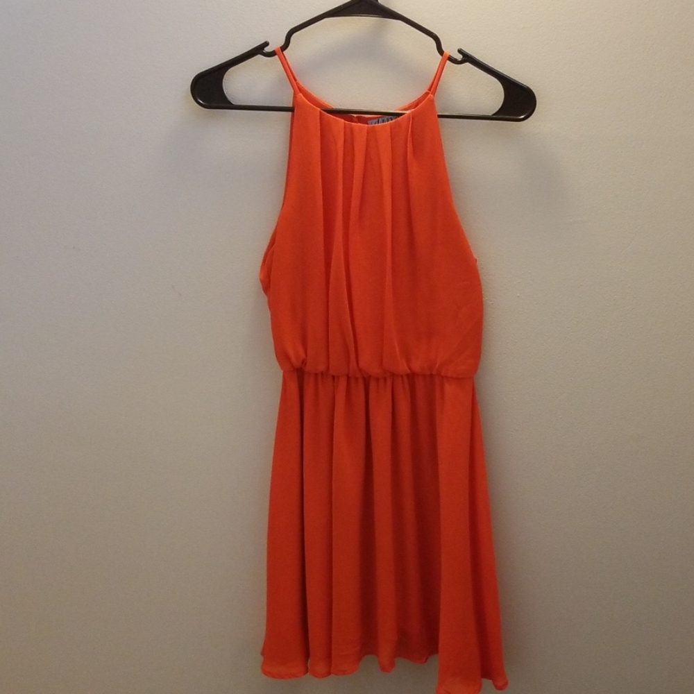 Francesca's Dress